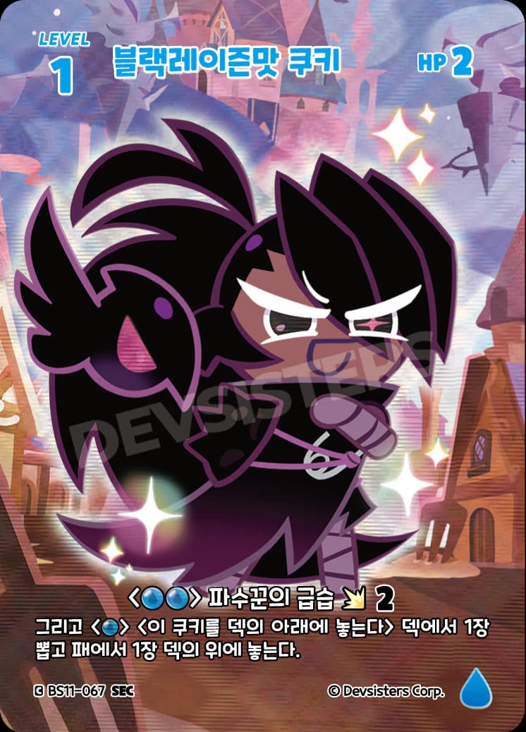 블랙레이즌맛 쿠키