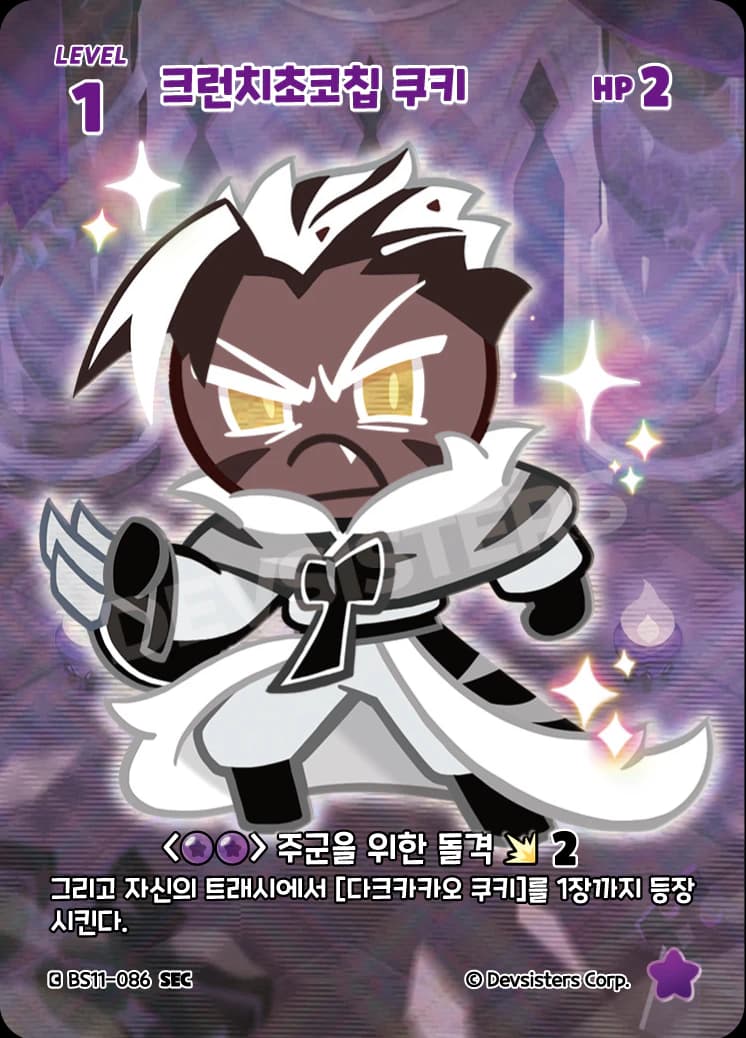 크런치초코칩 쿠키