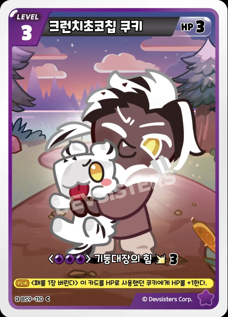 크런치초코칩 쿠키