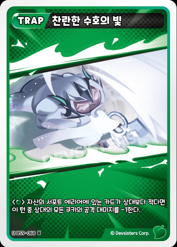 찬란한 수호의 빛